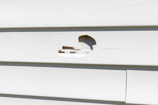 Custom Trim and Detailing for Siding in Eagle, ID