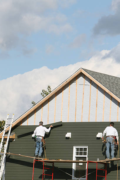 Best Custom Trim and Detailing for Siding  in Eagle, ID